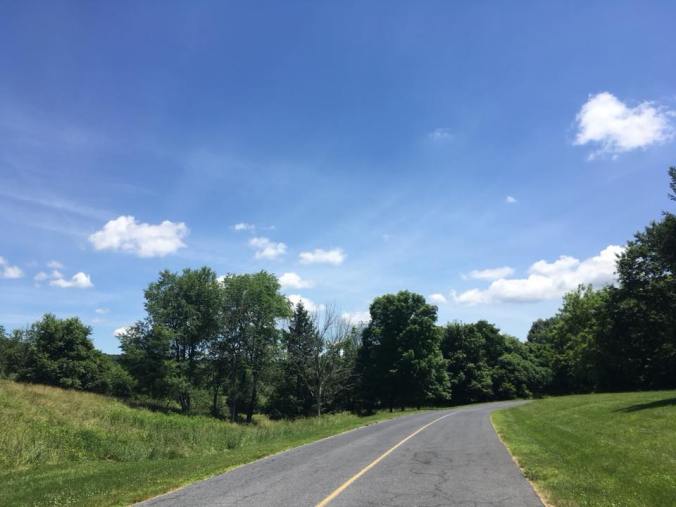 35972612_10212206080887947_5203795642987577344_n