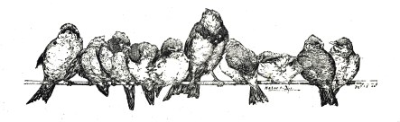 Vintage_Birds_on_a_wire_Clip_Art