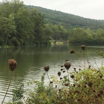 71148758_10214886291211530_6589080414520868864_o