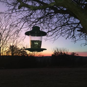 81237432_10215674686600922_5920021593244827648_o